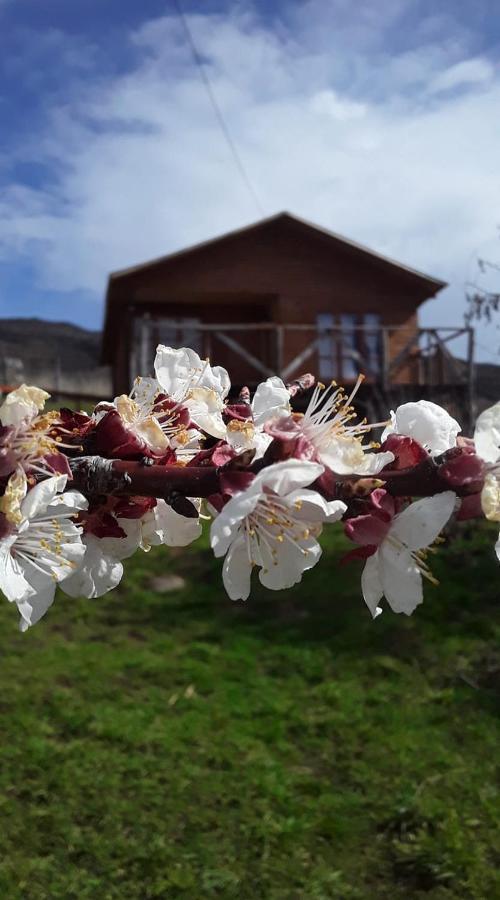 Bed and Breakfast Sol De La Patagonia Puerto Guadal Zewnętrze zdjęcie